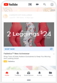 트루뷰 인스트림